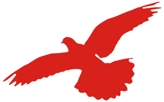 圖片關(guān)鍵詞 圖片關(guān)鍵詞