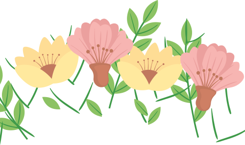 圖片關(guān)鍵詞